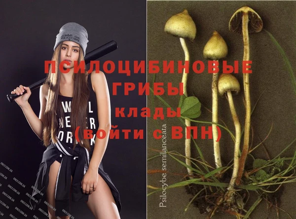 меф Алексин
