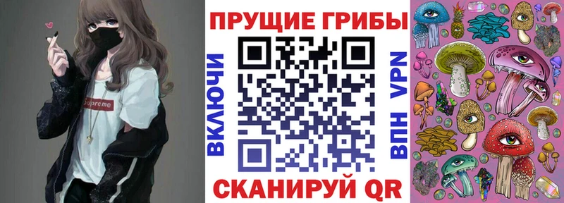 Галлюциногенные грибы Psilocybine cubensis где купить наркотик Плавск